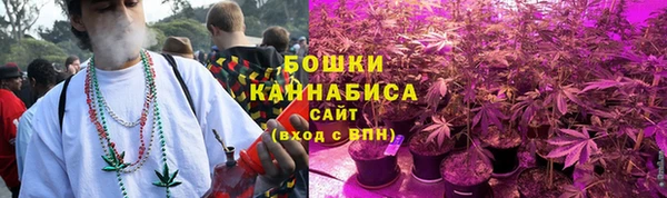 PSILOCYBIN Беломорск