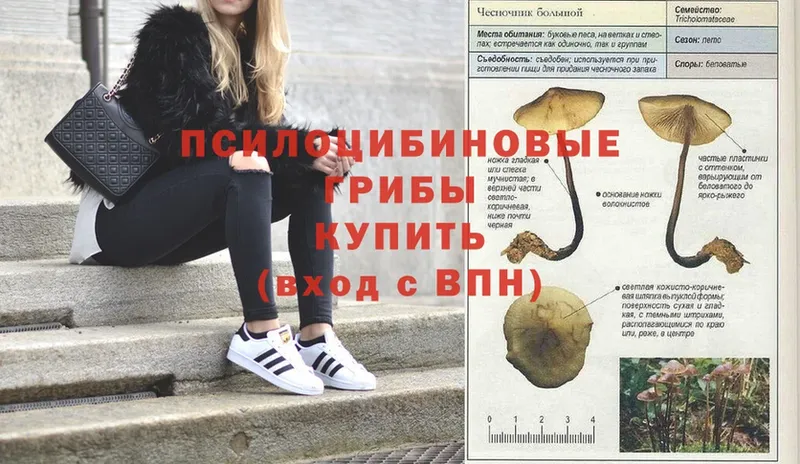 ОМГ ОМГ ССЫЛКА  Дагестанские Огни  Галлюциногенные грибы Psilocybine cubensis 